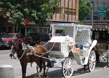 Гвадалахара, Мексика, фото № 43421 – фотографии Мексики