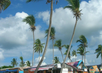 Байяибе, Доминикана, фото № 30245 – фотографии Доминиканы