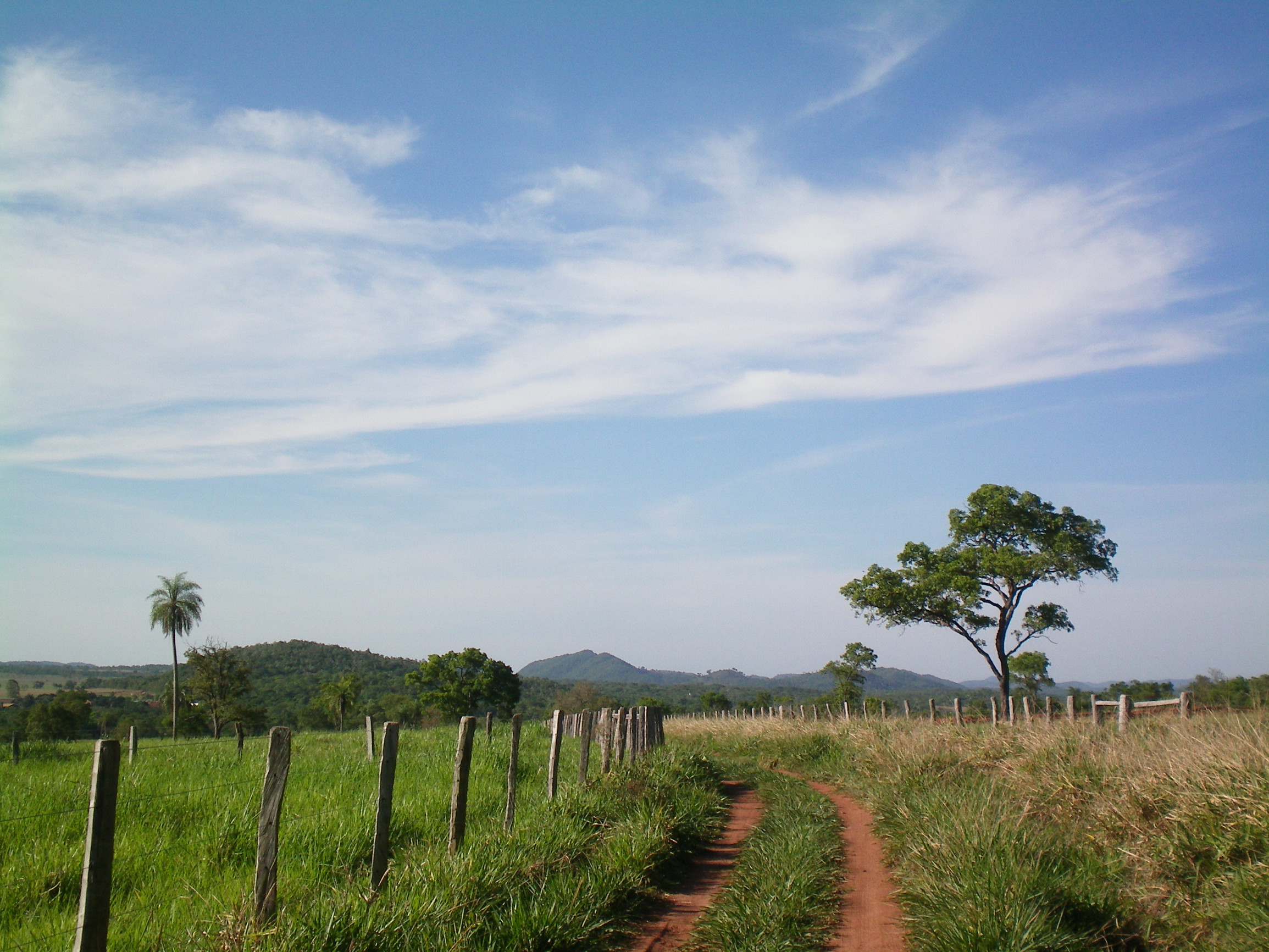 Сельские пейзажи Бониту – фотографии Бразилии