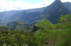 Салази, Реюньон, фото № 25841 – фотографии Реюньона