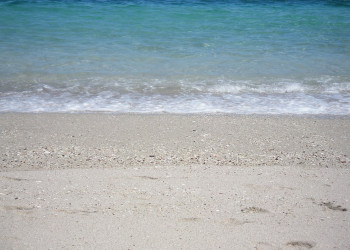 Плайя Кончаль, Гуанакасте провинция, Коста-Рика, фото № 39573 – фотографии Коста-Рики