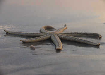 Тринкомали, Шри-Ланка, фото № 52442 – фотографии Шри-Ланки