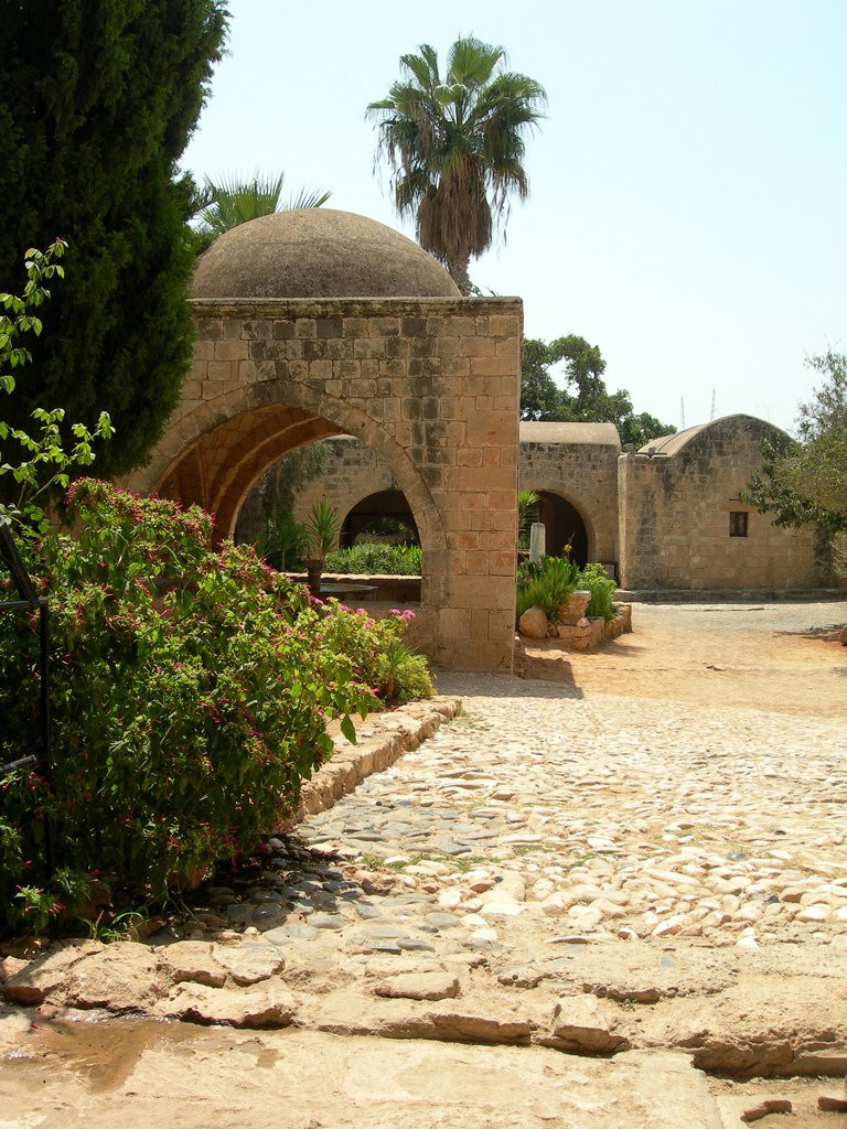 Айя-Напа, Кипр, фото № 37503 – фотографии Кипра