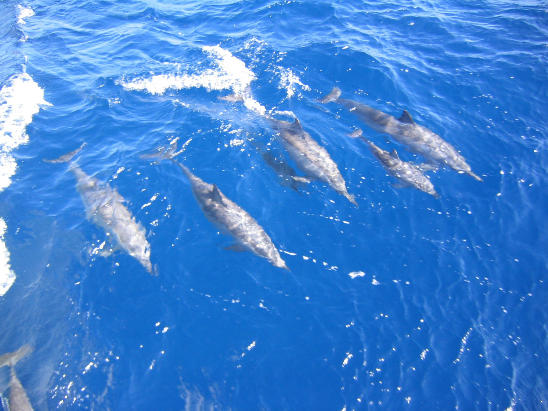 Макади-Бэй, Египет, фото № 35307 – фотографии Египта