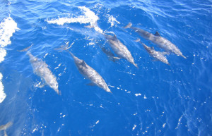 Макади-Бэй, Египет, фото № 35307 – фотографии Египта