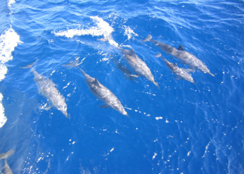 Макади-Бэй, Египет, фото № 35307 – фотографии Египта