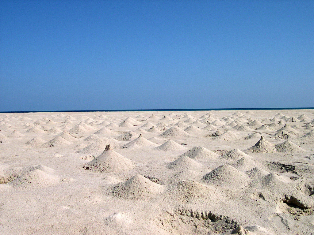 Остров Сокотра – фотографии Йемена