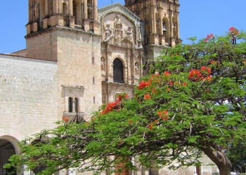 Santo Domingo, Мексика. Фото 2 – фотографии Мексики