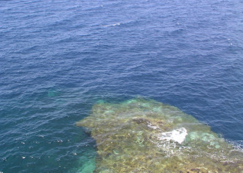 Чиркевва, Мальта остров, Мальта, фото № 43165 – фотографии Мальты