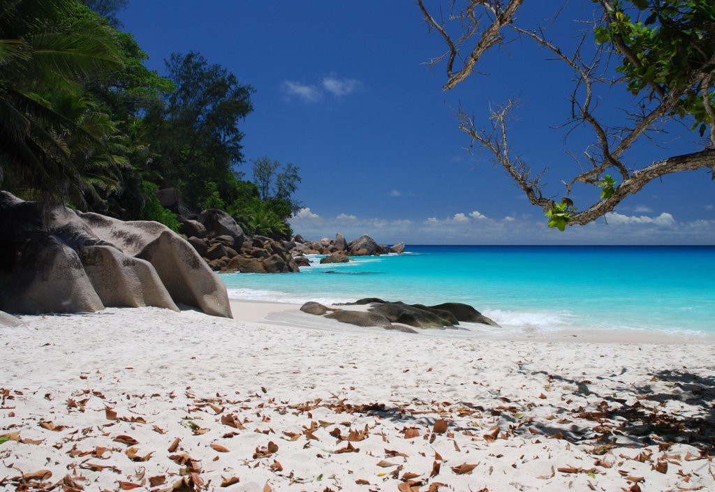 Пляж Анс Лацио , Сейшелы. Фото 11 – фотографии Сейшельских островов