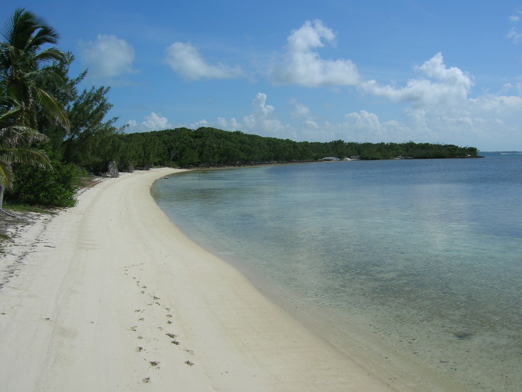Берега в Абако, Багамские острова. Фото 14 – фотографии Багамских островов