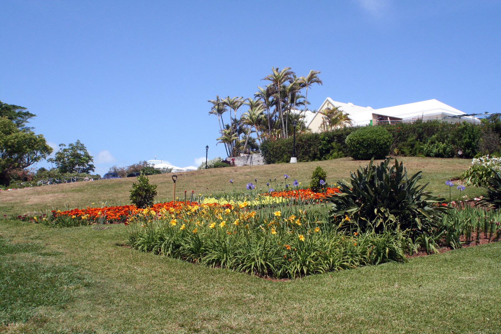 Ботанический сад в Гамильтоне. Фото 1 – фотографии Бермудских островов