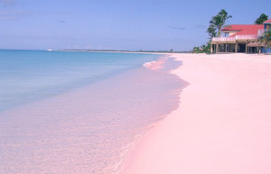 Розовый пляж на острове Харбор 11 – фотографии Багамских островов