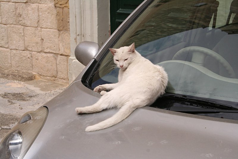 Мдина, Мальта остров, Мальта, фото № 42370 – фотографии Мальты