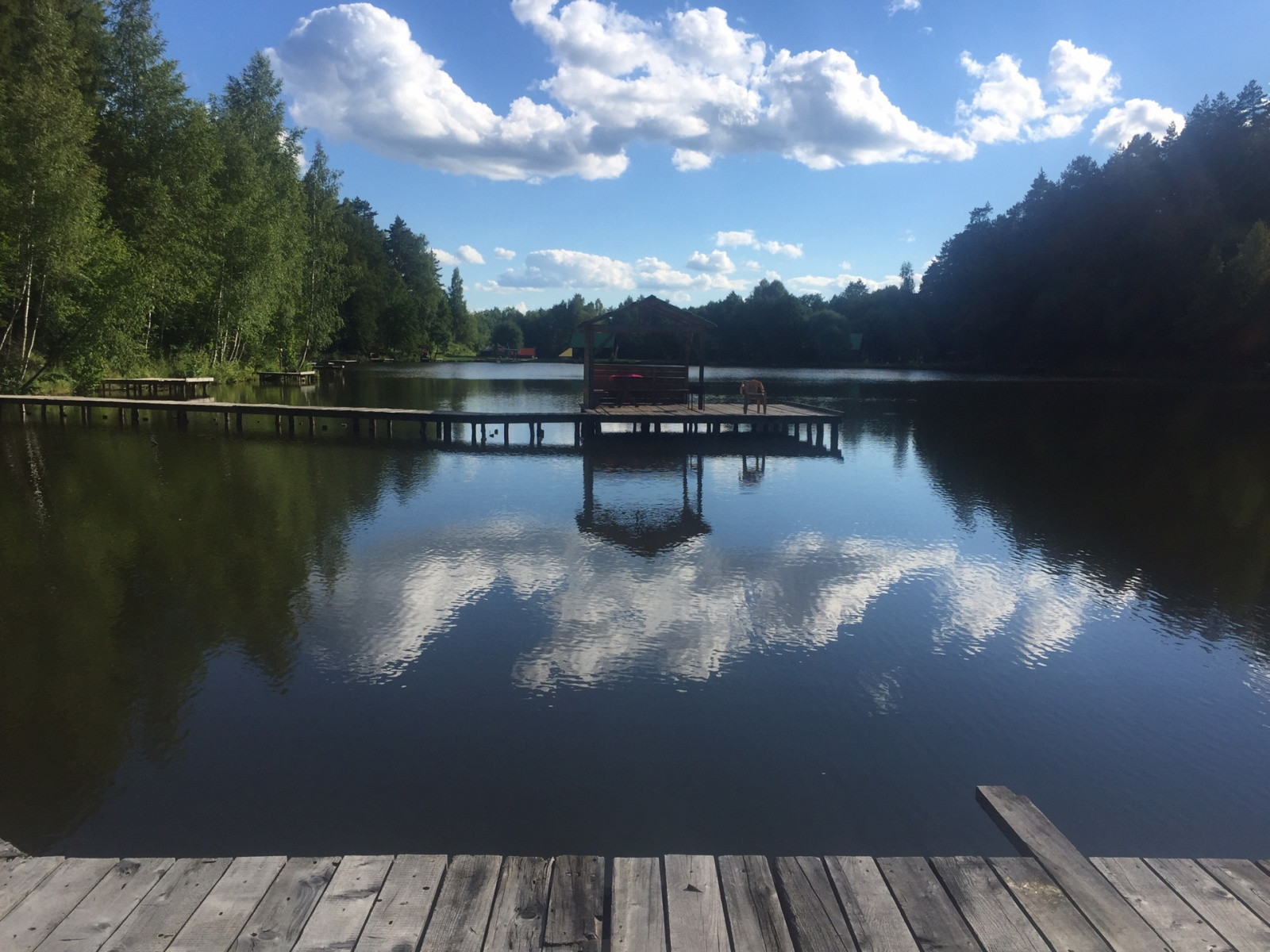 Золотой Крючок, платная рыбалка в Калужской области. Фото 2 – фотографии России