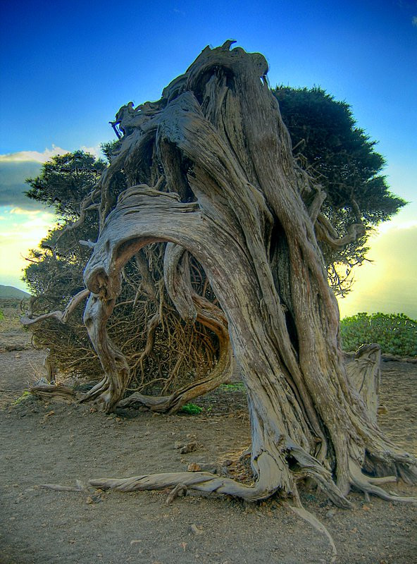 Эль-Йерро остров, Канарские острова, фото № 34702 – фотографии Канарских островов