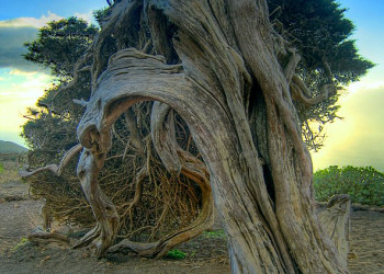 Эль-Йерро остров, Канарские острова, фото № 34702 – фотографии Канарских островов