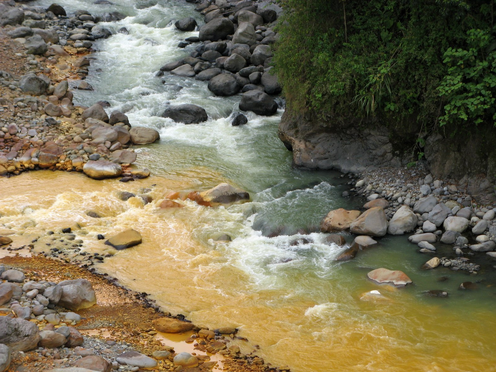 Браулио Каррильо Национальный Парк, Эредия провинция, Коста-Рика, фото № 39998 – фотографии Коста-Рики