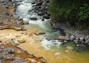 Браулио Каррильо Национальный Парк, Эредия провинция, Коста-Рика, фото № 39998 – фотографии Коста-Рики