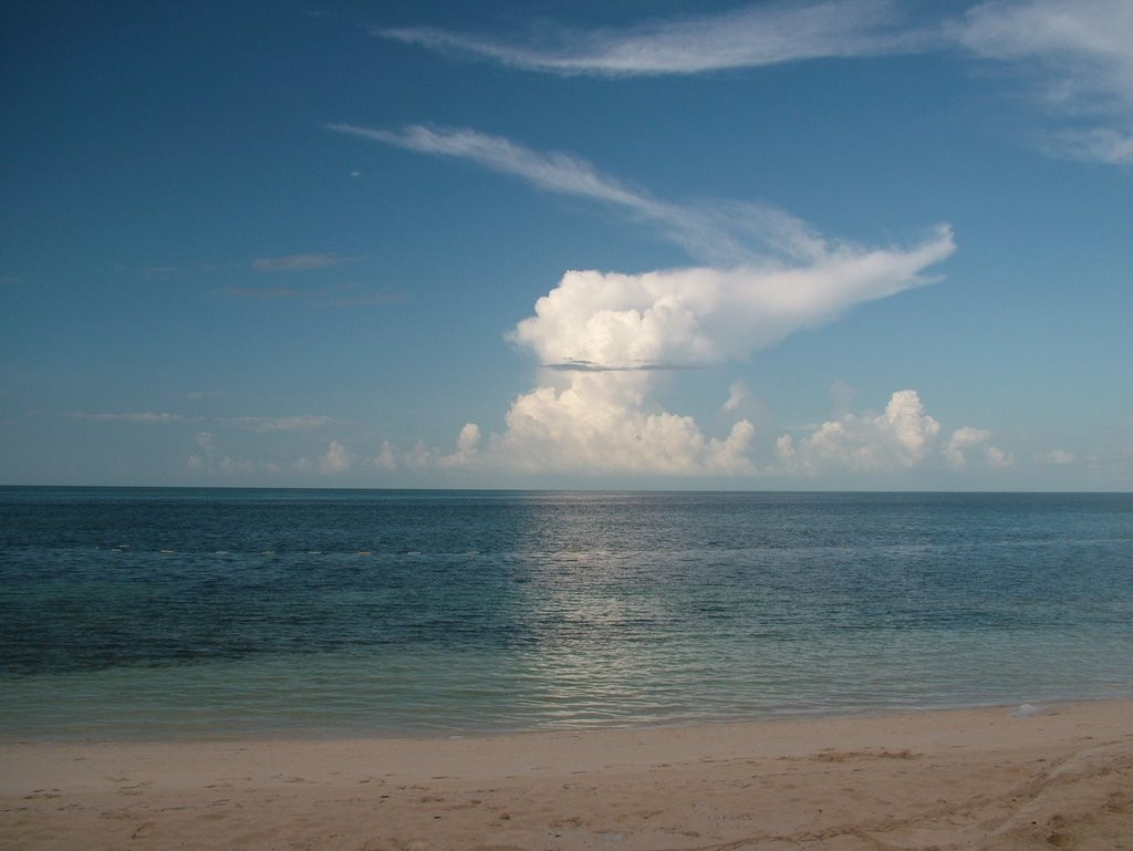 Море на острове Гранд Багама, Багамские острова. Фото 6 – фотографии Багамских островов