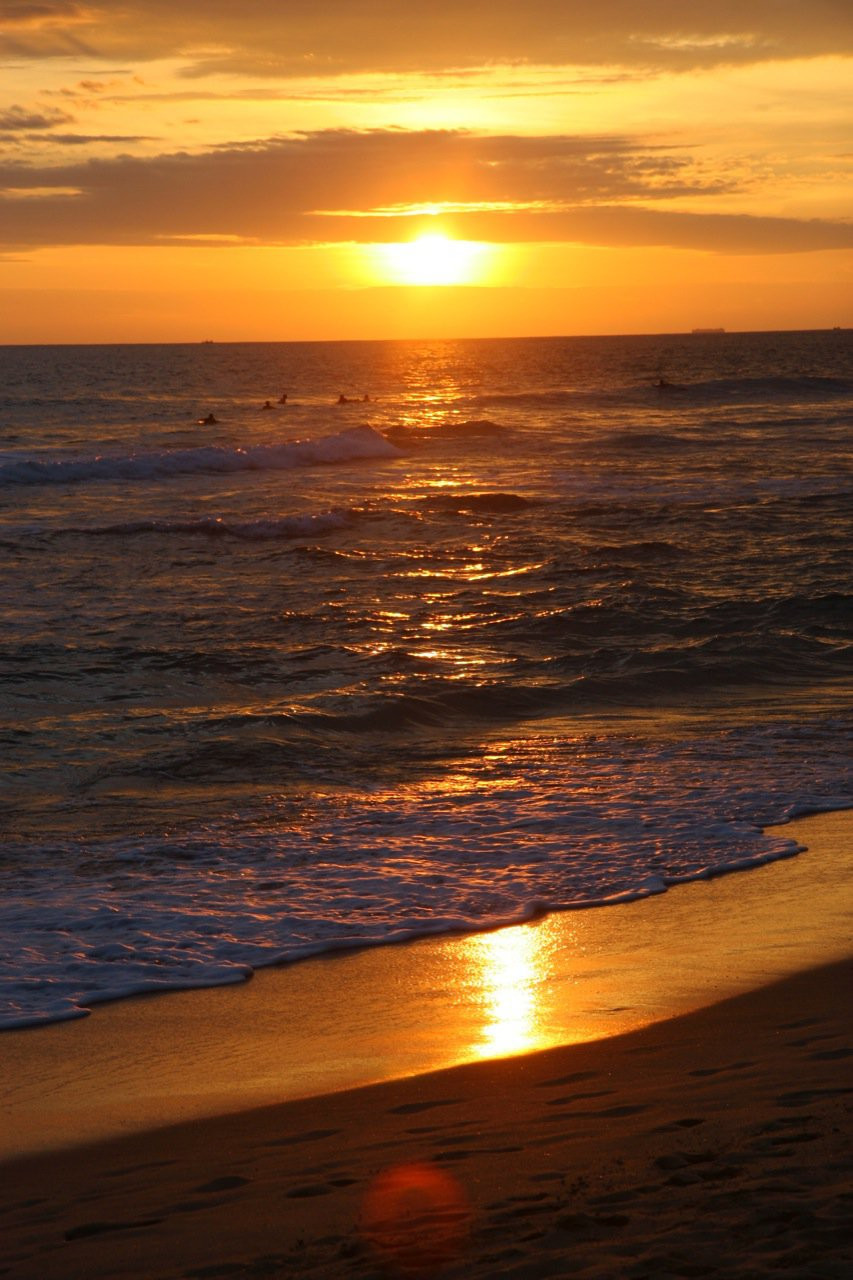 Хиккадува, Шри-Ланка, фото № 52562 – фотографии Шри-Ланки