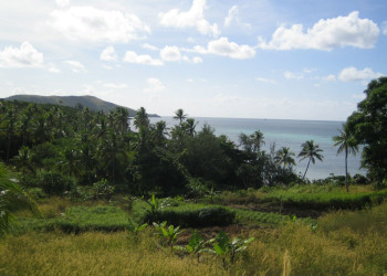 Нанyйя Лайлай остров, Ясава группа островов, Фиджи, фото № 50290 – фотографии Фиджи