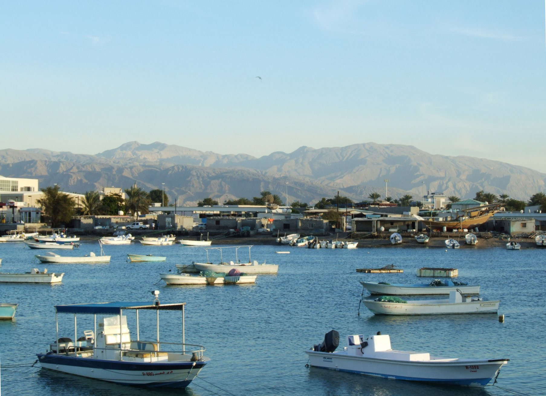 Рас-аль-Хайма, ОАЭ, фото № 61057 – фотографии ОАЭ