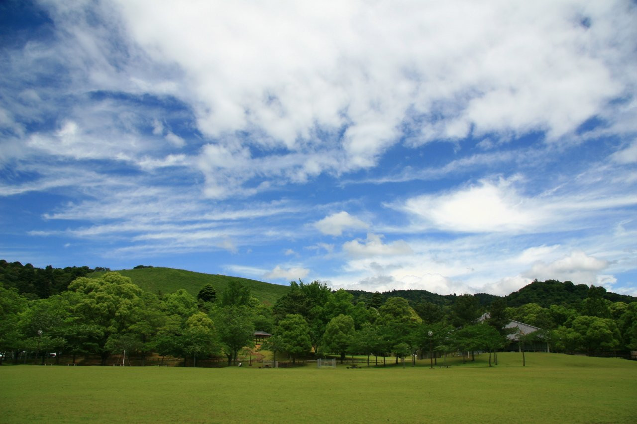 Nara – фотографии Японии