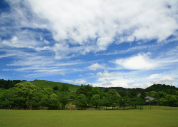 Nara – фотографии Японии