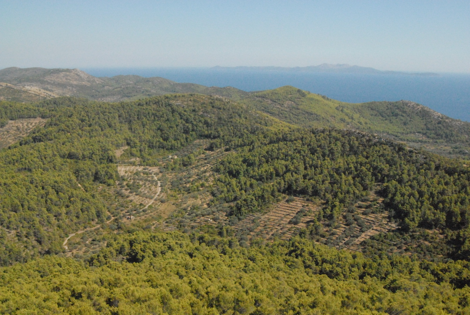 Природа на острове Корчула, Хорватия. Фото 2 – фотографии Хорватии