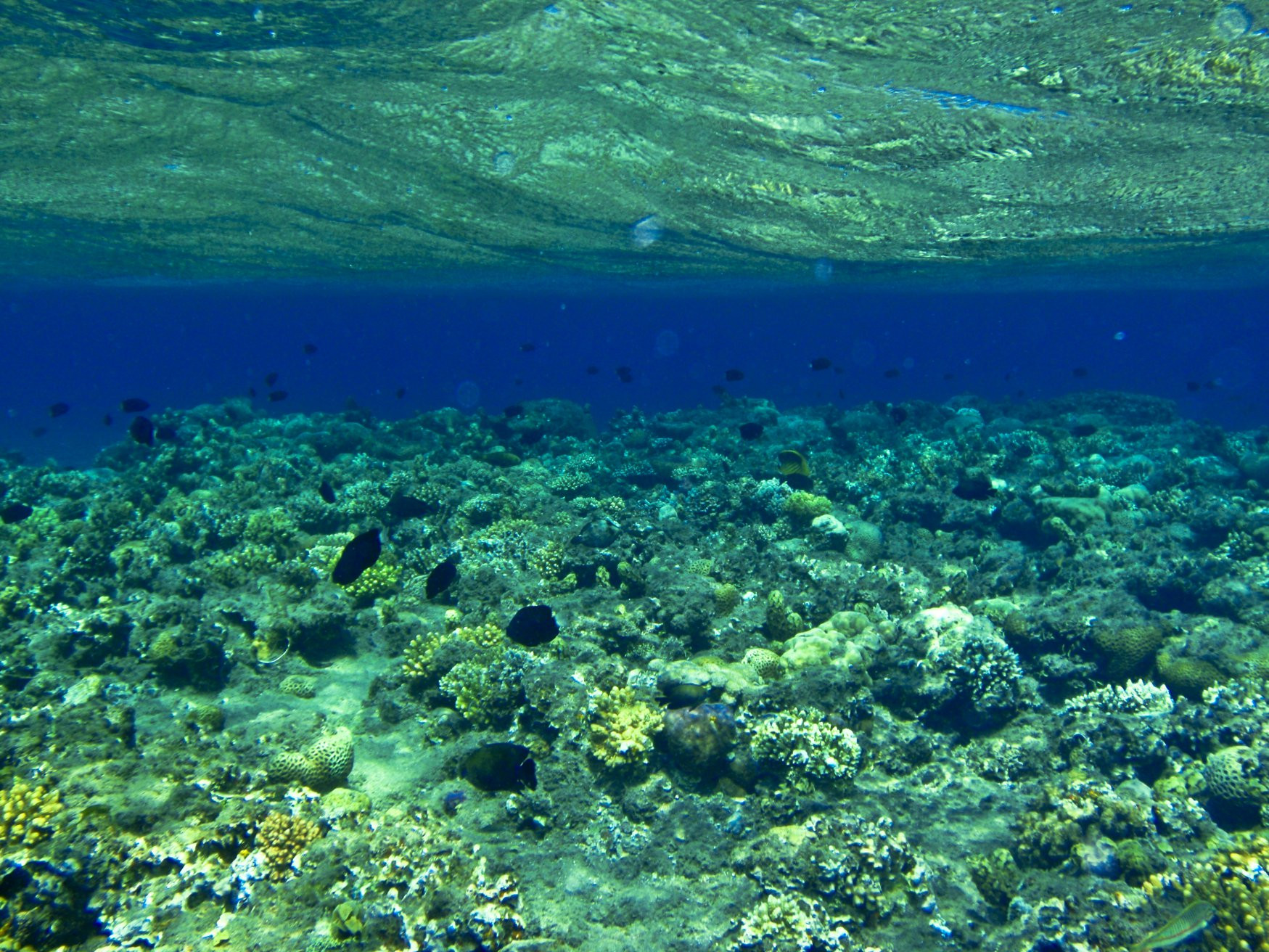 Акаба, Иордания, фото № 36093 – фотографии Иордании