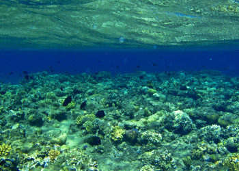 Акаба, Иордания, фото № 36093 – фотографии Иордании