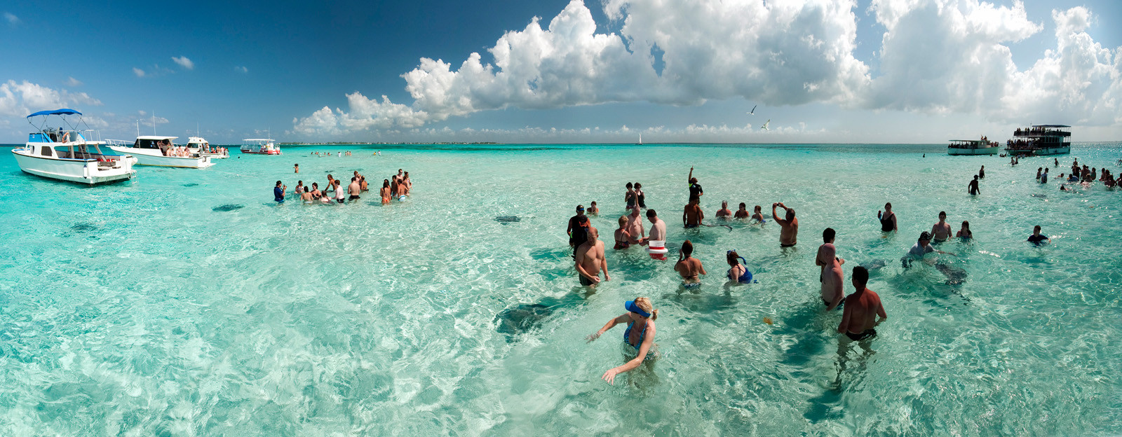 Купание со скатами на о-ве Гранд-Кайман. Фото 1 – фотографии Каймановых островов