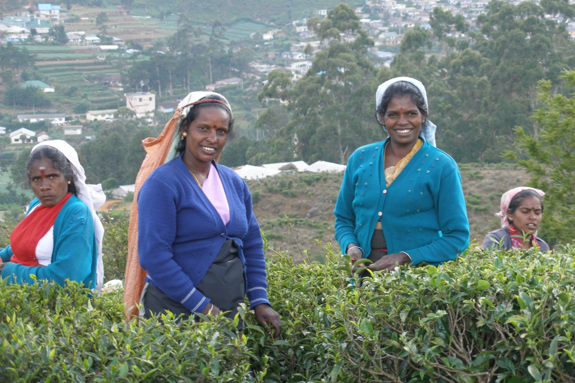 Нувара Элия, Шри-Ланка, фото № 52083 – фотографии Шри-Ланки