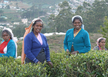 Нувара Элия, Шри-Ланка, фото № 52083 – фотографии Шри-Ланки