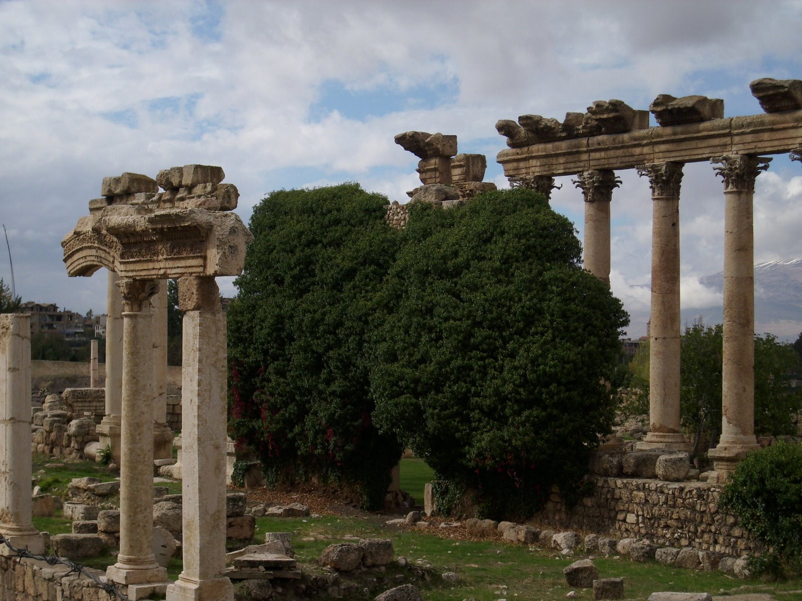 Ливан, фото № 1992 – фотографии Ливана