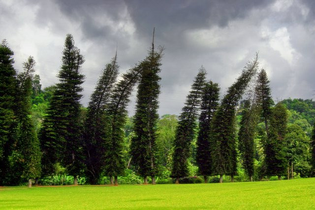 Канди, Шри-Ланка, фото № 51333 – фотографии Шри-Ланки