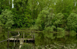 Озеро в Лоньско поле, Хорватия. Фото 1 – фотографии Хорватии