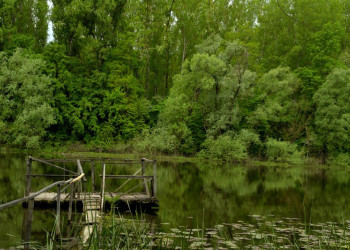 Озеро в Лоньско поле, Хорватия. Фото 1 – фотографии Хорватии