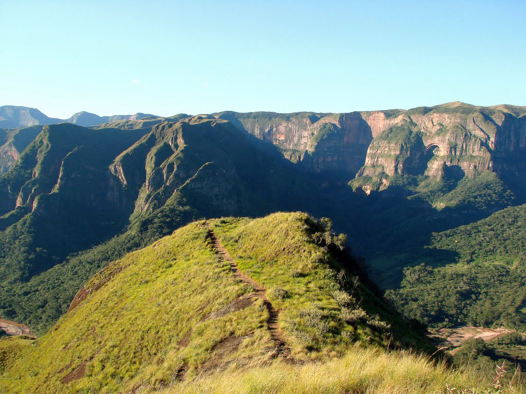 Национальный парк Амборо (Amboro National Park) в Боливии – фотографии Боливии