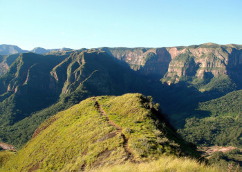 Национальный парк Амборо (Amboro National Park) в Боливии – фотографии Боливии