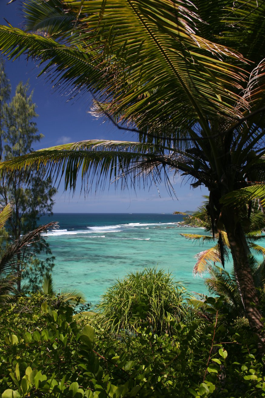 Остров Аноним – фотографии Сейшельских островов