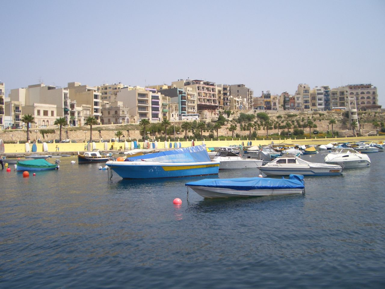 Сент-Полс-Бэй, Мальта остров, Мальта, фото № 42982 – фотографии Мальты