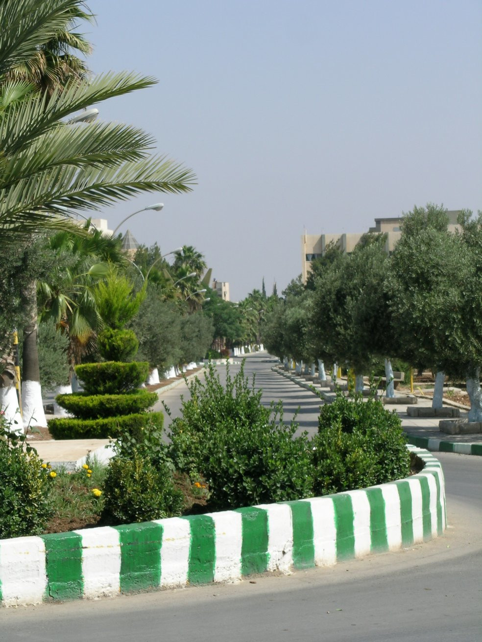 Ирбид, Иордания, фото № 36790 – фотографии Иордании