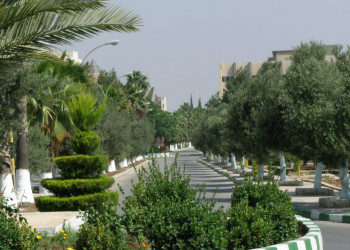 Ирбид, Иордания, фото № 36790 – фотографии Иордании