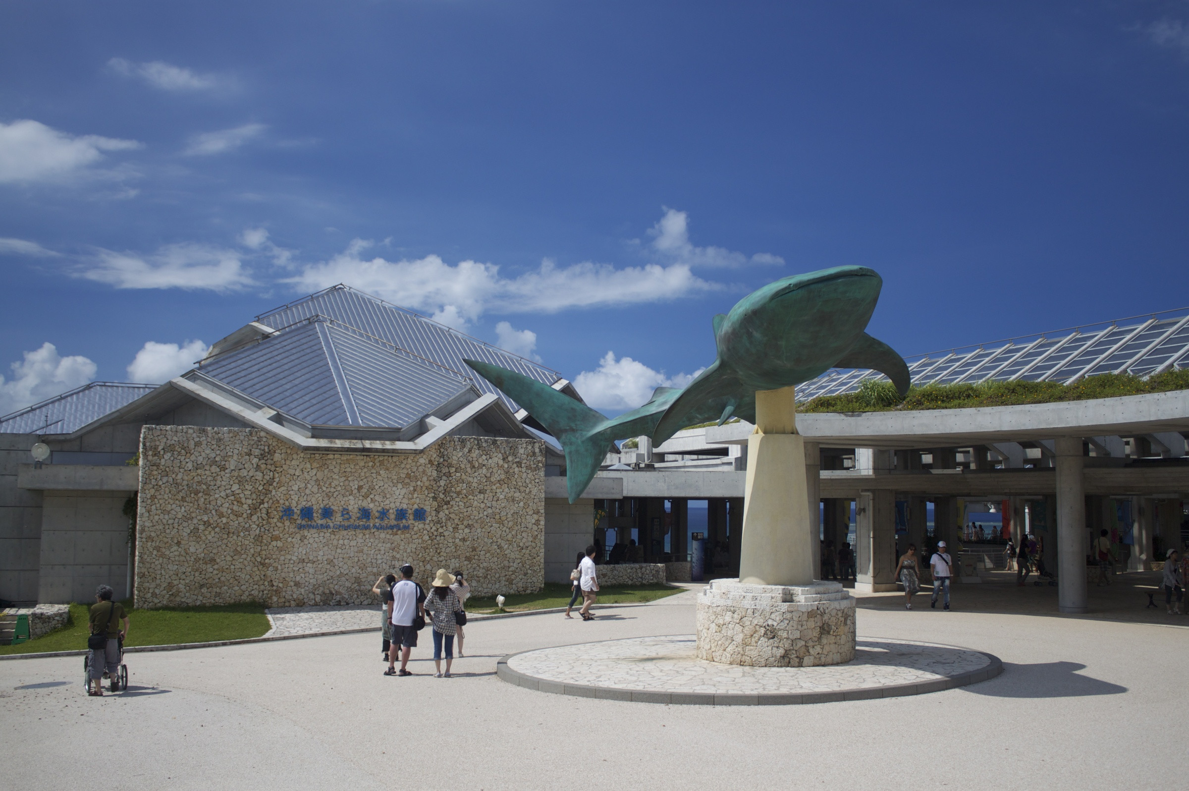 Океанариум «Окинава Тюрауми» – фотографии Японии