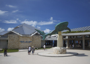 Океанариум «Окинава Тюрауми» – фотографии Японии