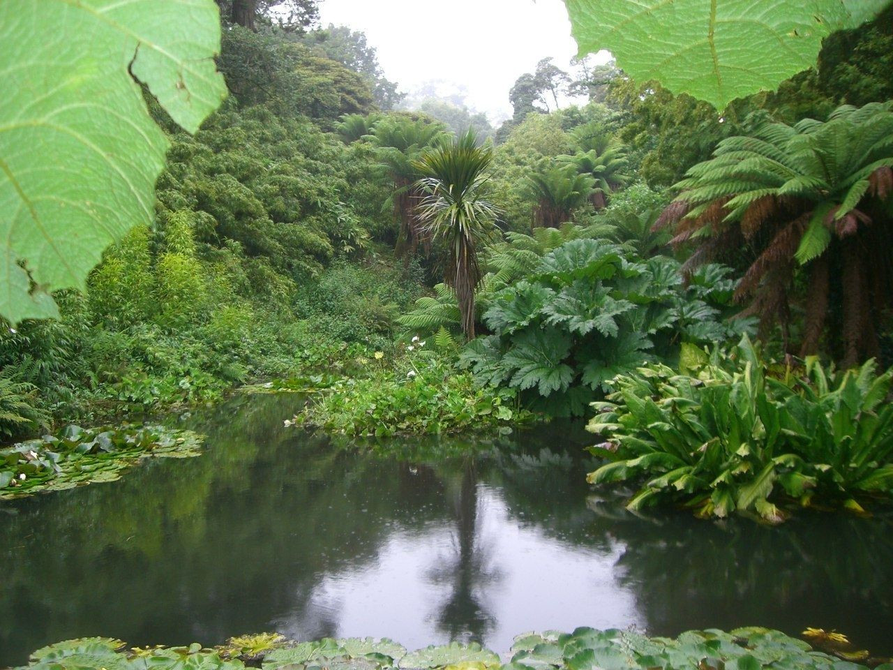 Ботанический рай, полный растений со всех уголков планеты, - Затерянные сады Хелигана – фотографии Великобритании