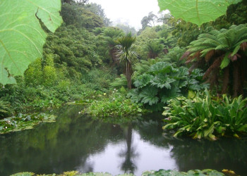 Ботанический рай, полный растений со всех уголков планеты, - Затерянные сады Хелигана – фотографии Великобритании