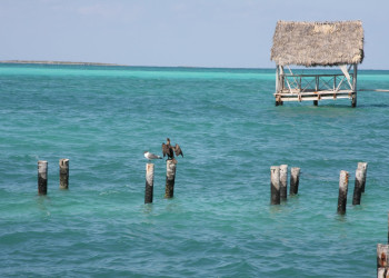 Море в Кайо-Гильермо, Куба. Фото 16 – фотографии Кубы